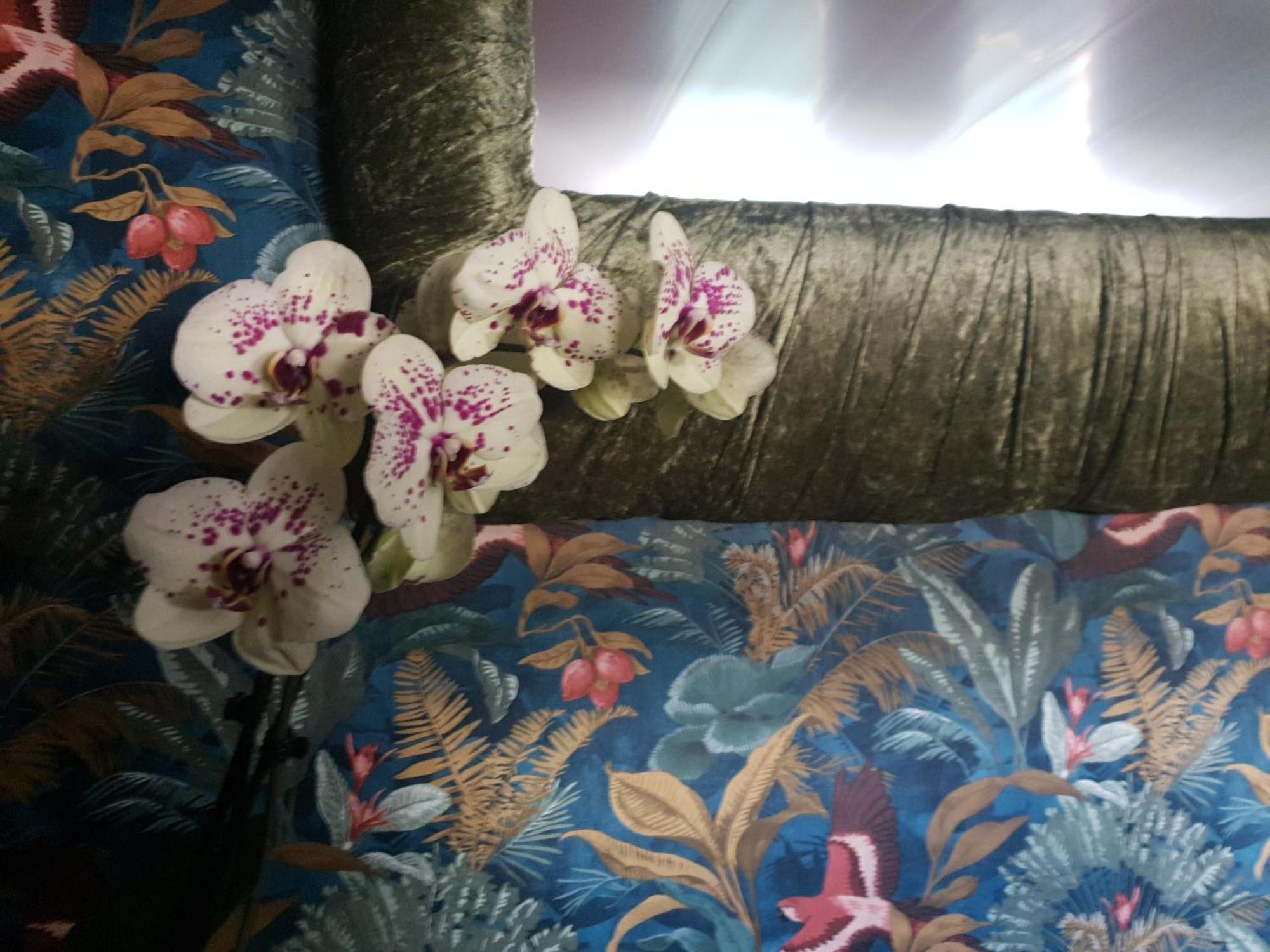 Jasmine Coral Jay Boutique Boatel Ocean Village Gibraltar Cameră foto